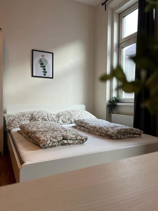 90 M2 Spacious With Free Parking * Wien
